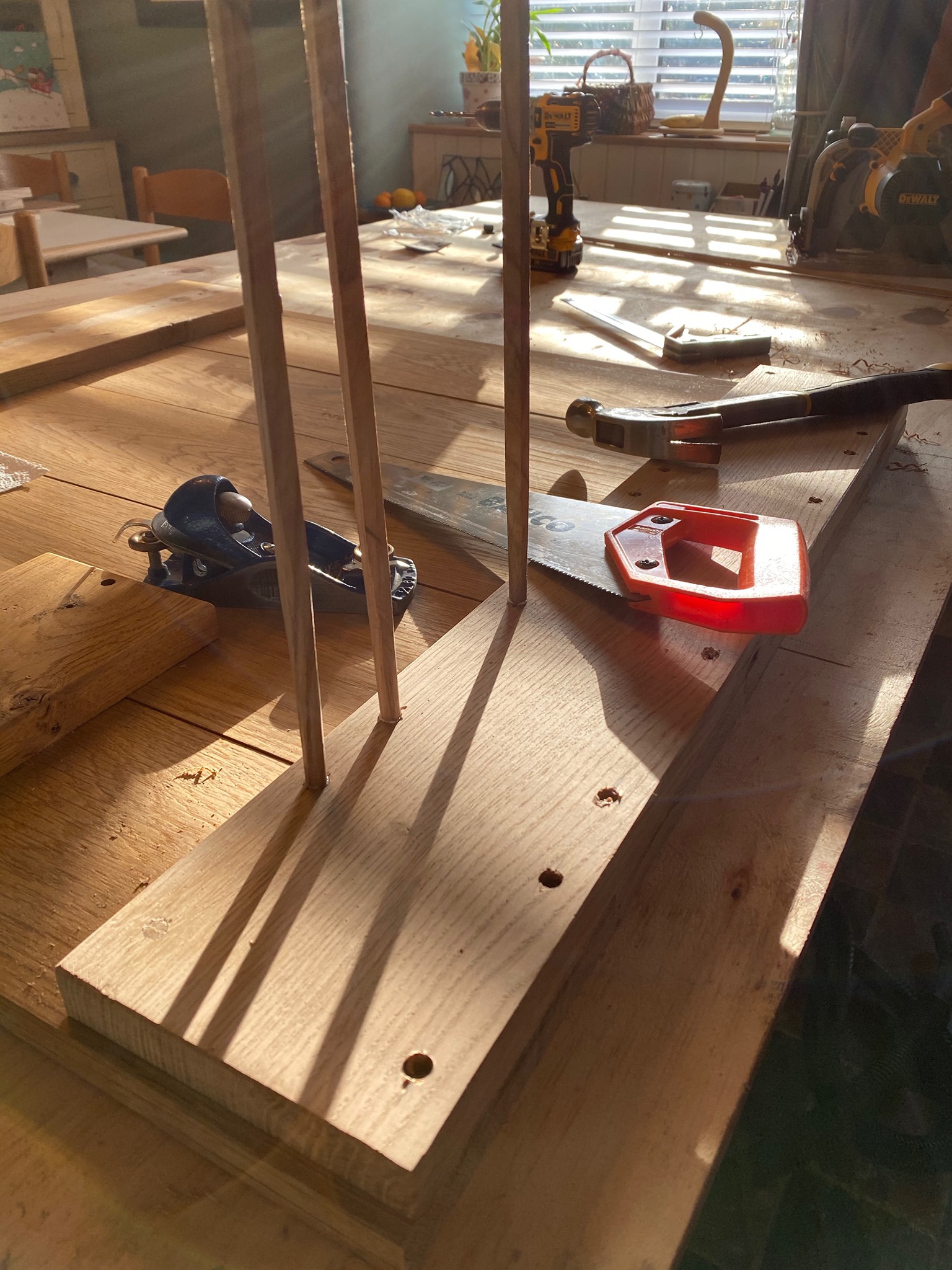 Oak door being built with dowel pegs in sunlight shadows